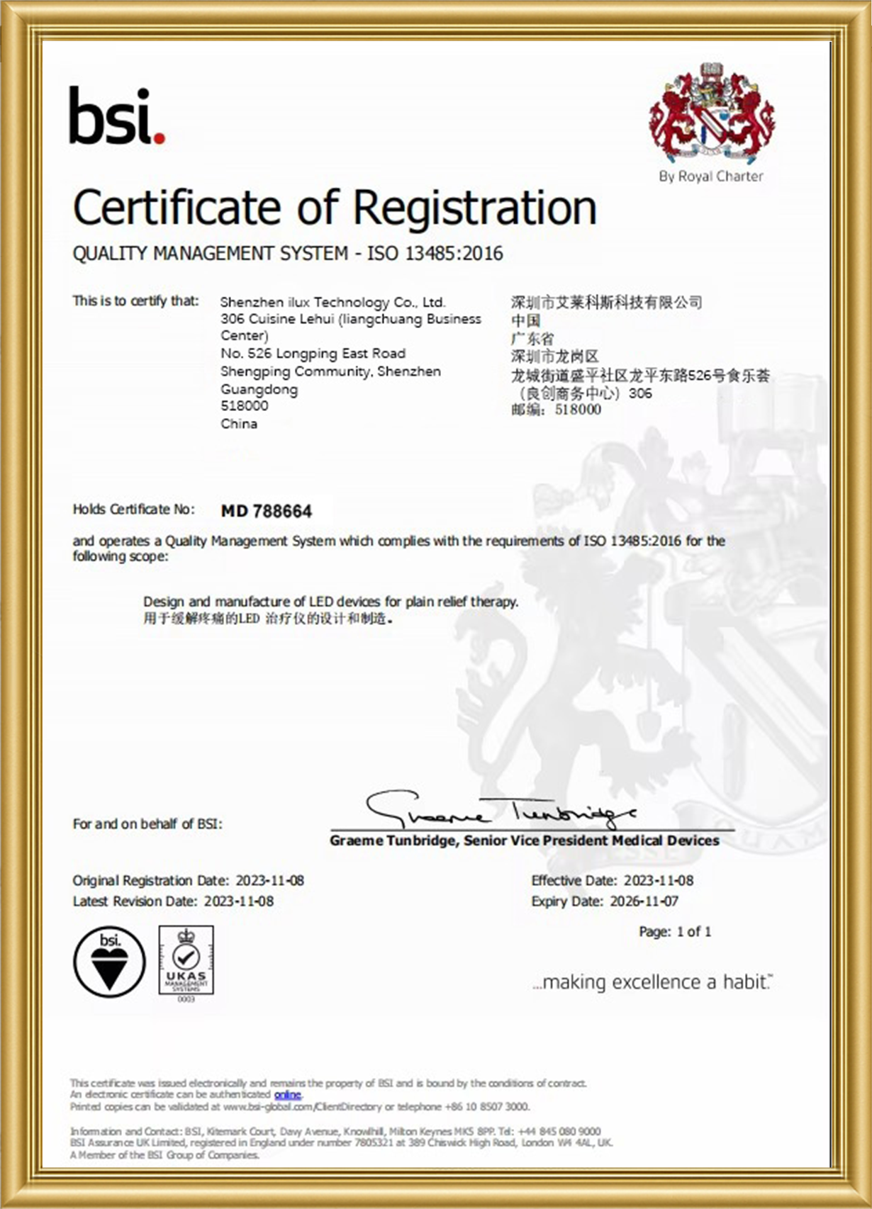 RICOVSUN ISO 13485 Medical Device Quality Certification