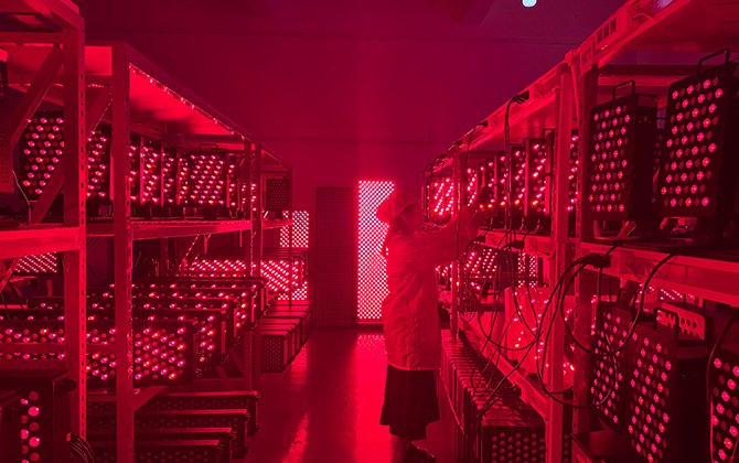 Red light therapy panel aging testing at RICOVSUN factory