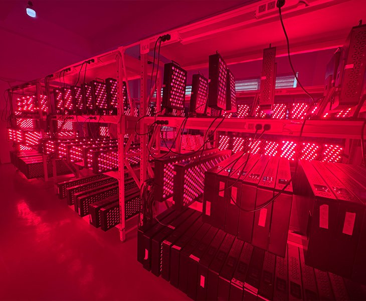 RICOVSUN red light therapy panel 72-hour aging testing workshop