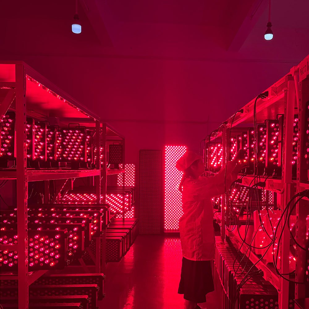 Red light therapy panel aging testing at RICOVSUN factory