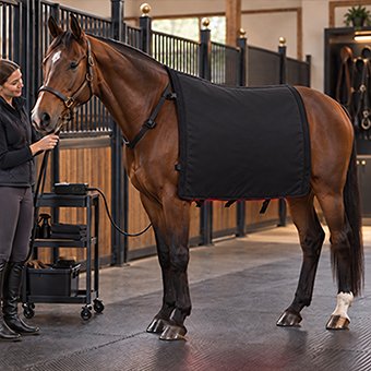 Red Light Therapy Horse Blanket